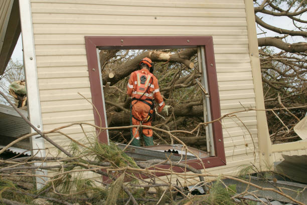 Reliable Lowell, MI Tree Services Solutions